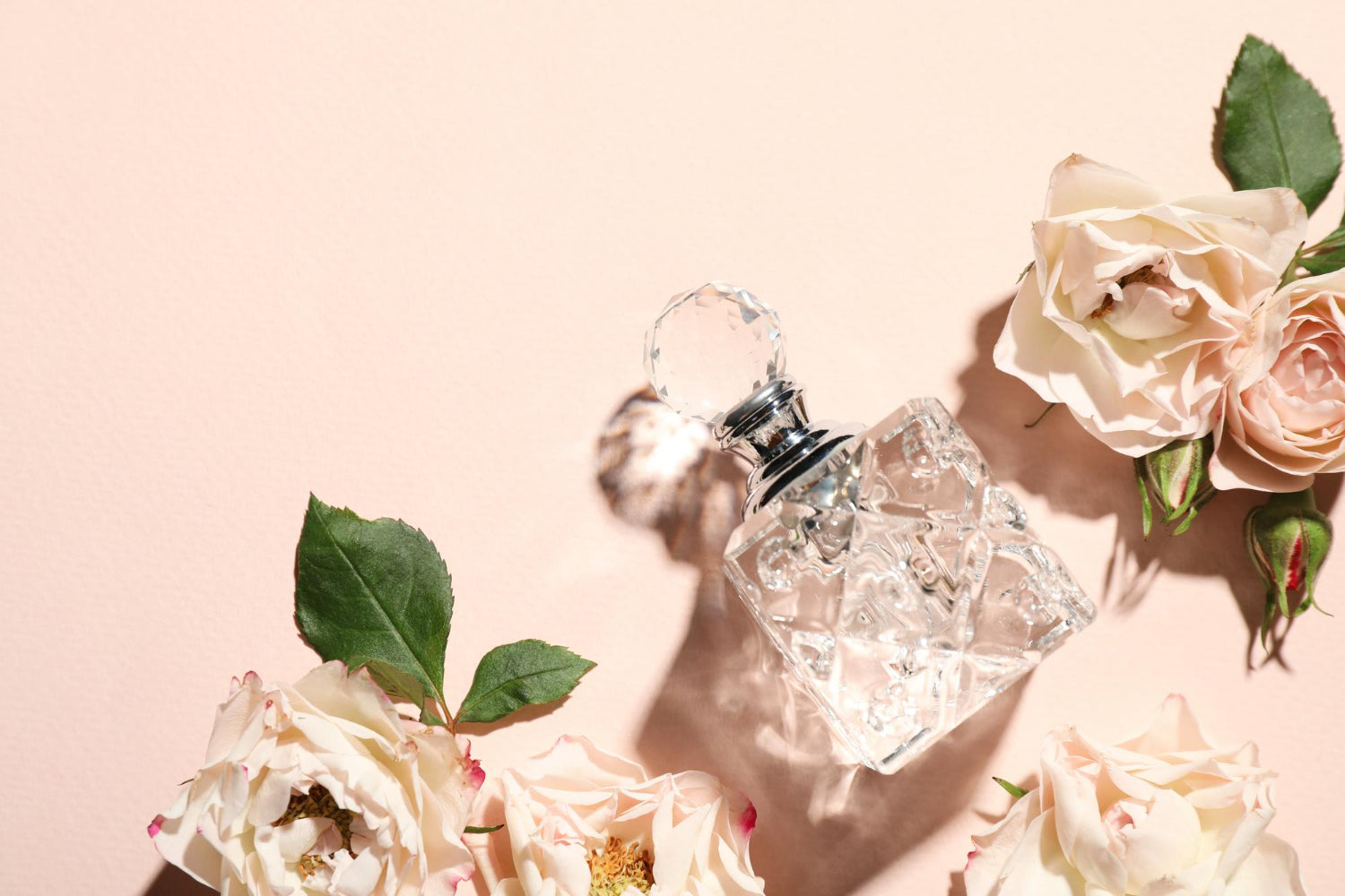 New Must-Have Perfume Launches 2022 Season