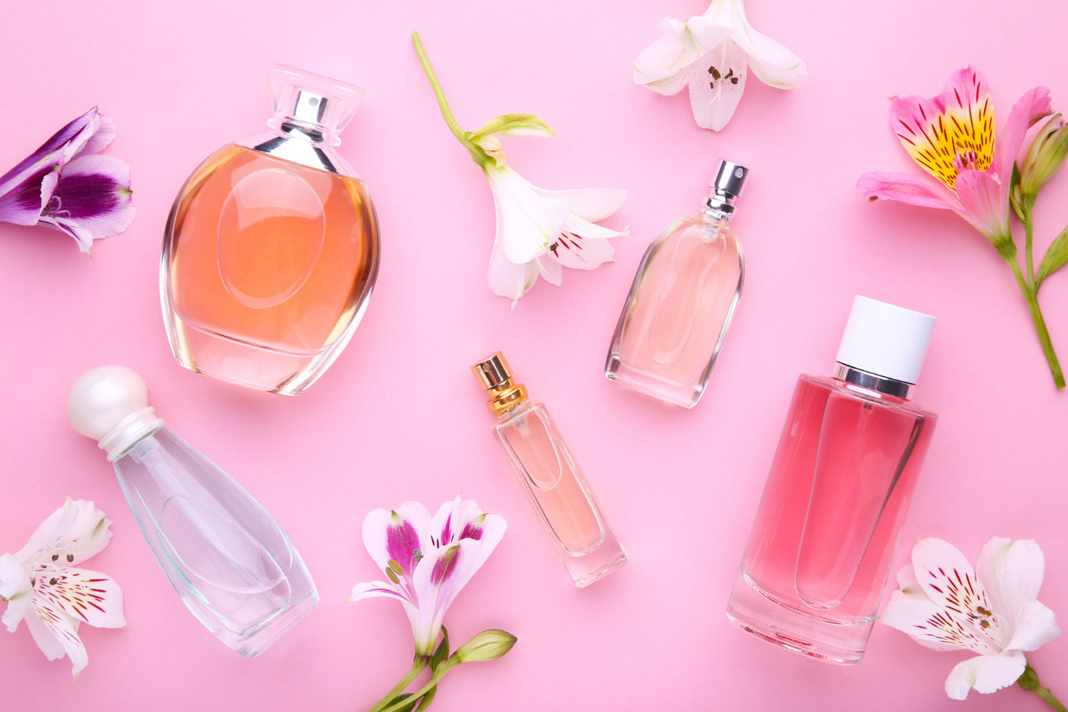 7 Best Affordable Perfumes and Colognes 2024